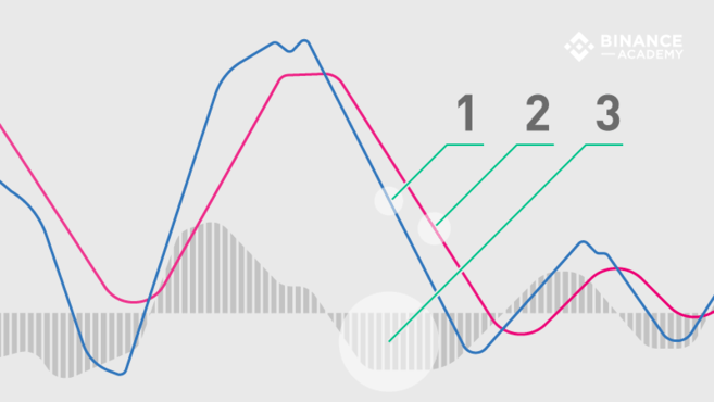 MACD Indicator Explained