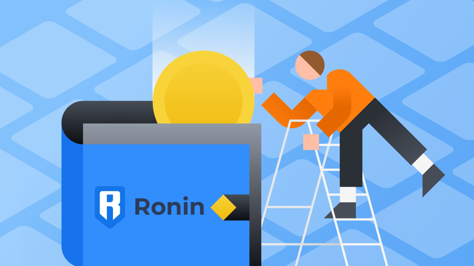 How to Use the Ronin Wallet?