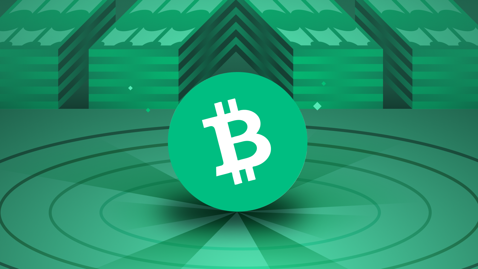 What Is Bitcoin Cash (BCH)?